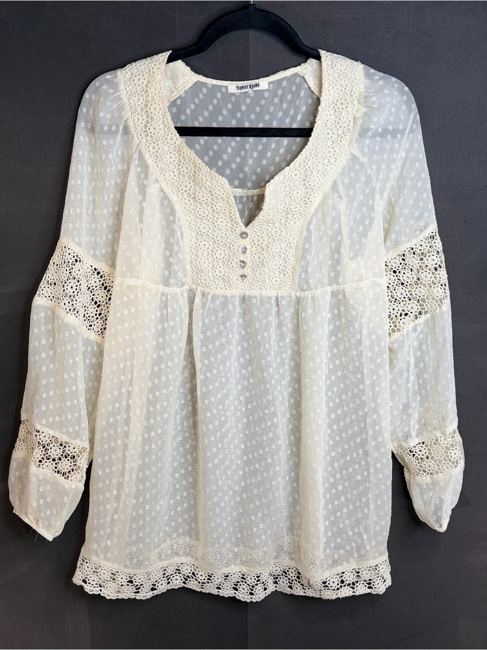 Daniel Rainn Cream Lace-Inset Swiss Dot Tunic Top